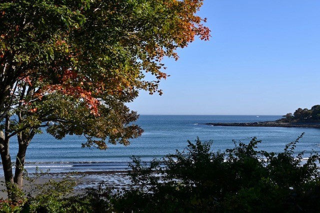 Exploring the Maine coastline